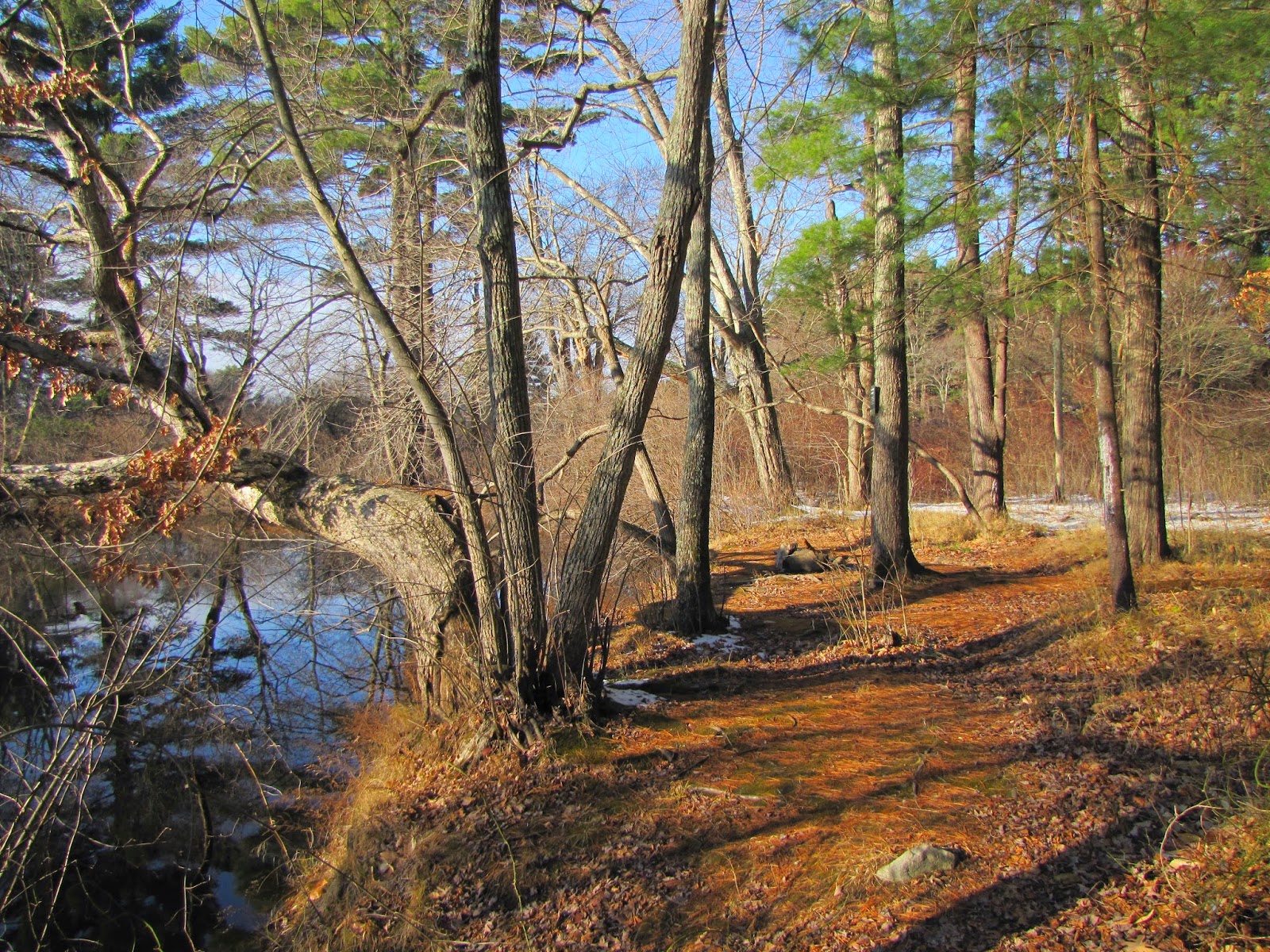 Southern New England Outdoor and Nature Site Shattuck Reservation and