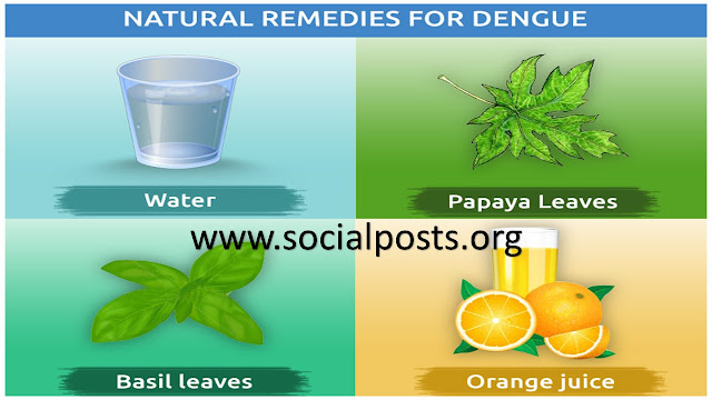 7 warning signs of dengue fever