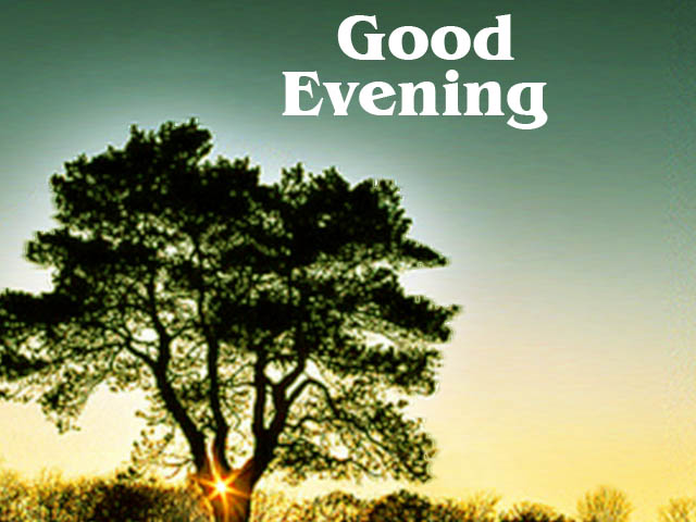 Good Evening SMS, Quotes And Facebook Status ~ Hindi Sms, Good Morning ...