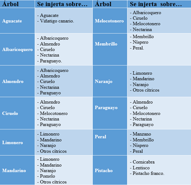 Compatibilidad de Injertos
