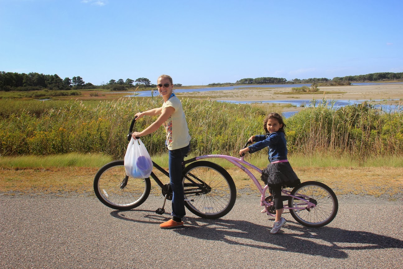 Bilbo's Random Thought Collection Chincoteague Weekend