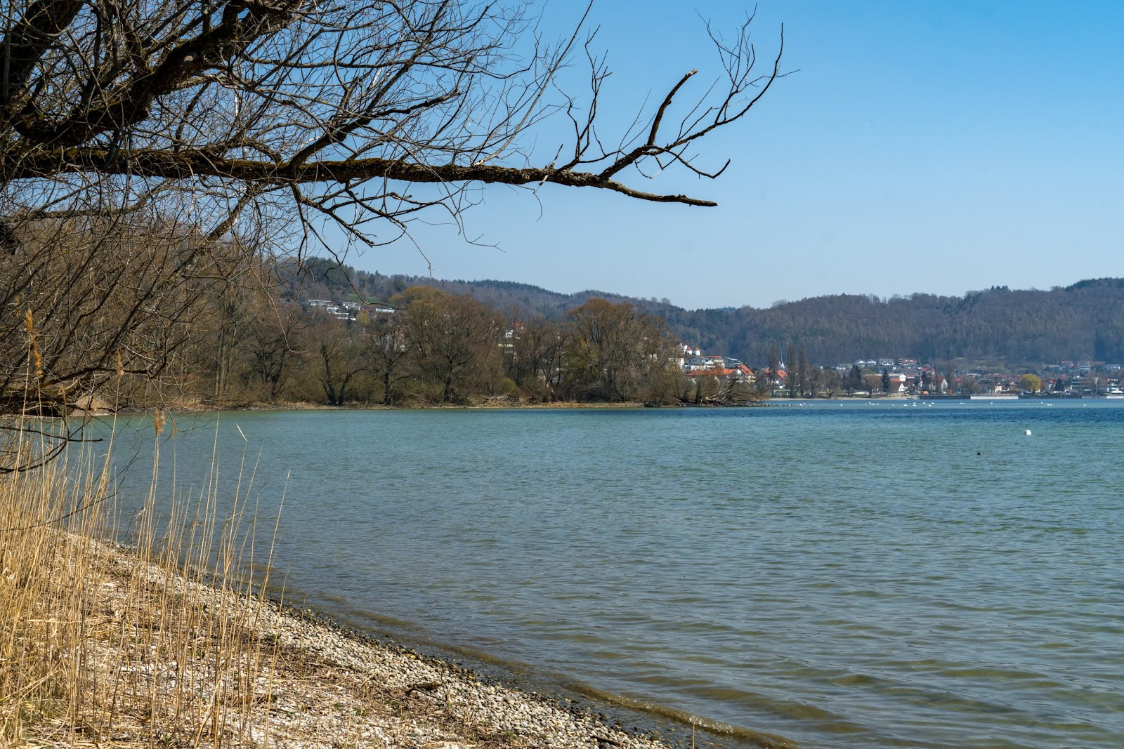 Nenzingen De
