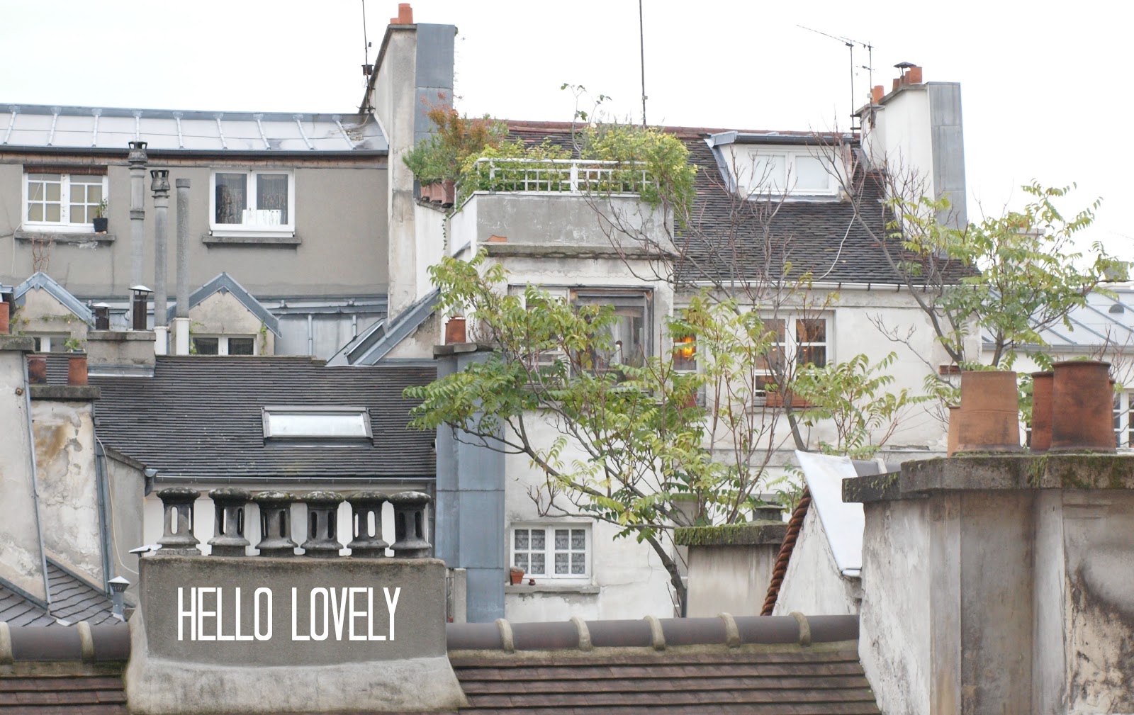 Gorgeous rooftops from the view out of our #Parisapartment window - Hello Lovely Studio