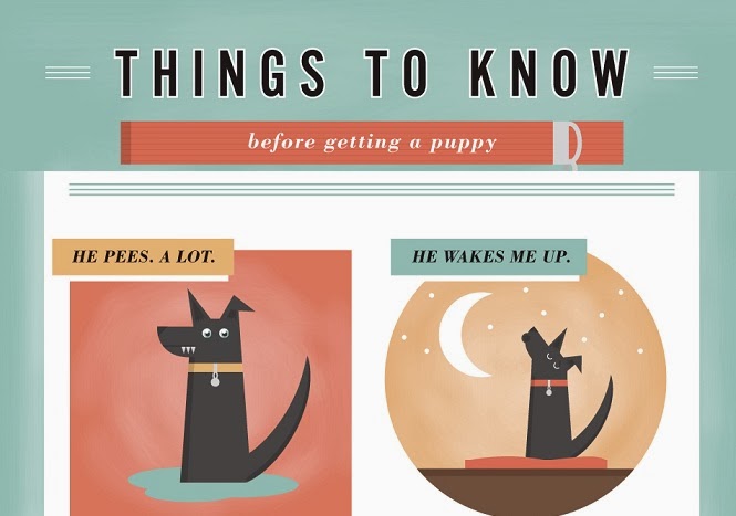 Image: Things To Know Before Getting A Puppy