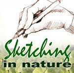 Nature Sketchers