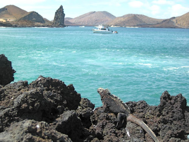 Ilhas Galápagos - Equador