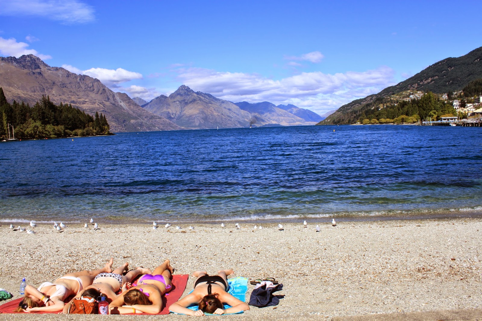 travel 100 New Zealand