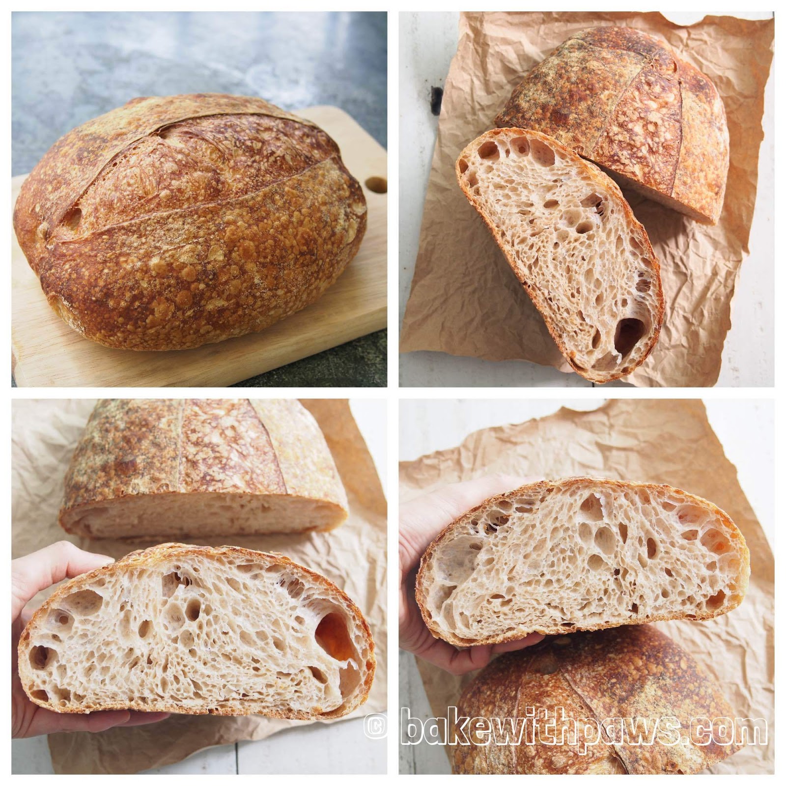 Basic Open Crumb Sourdough Bread BAKE WITH PAWS