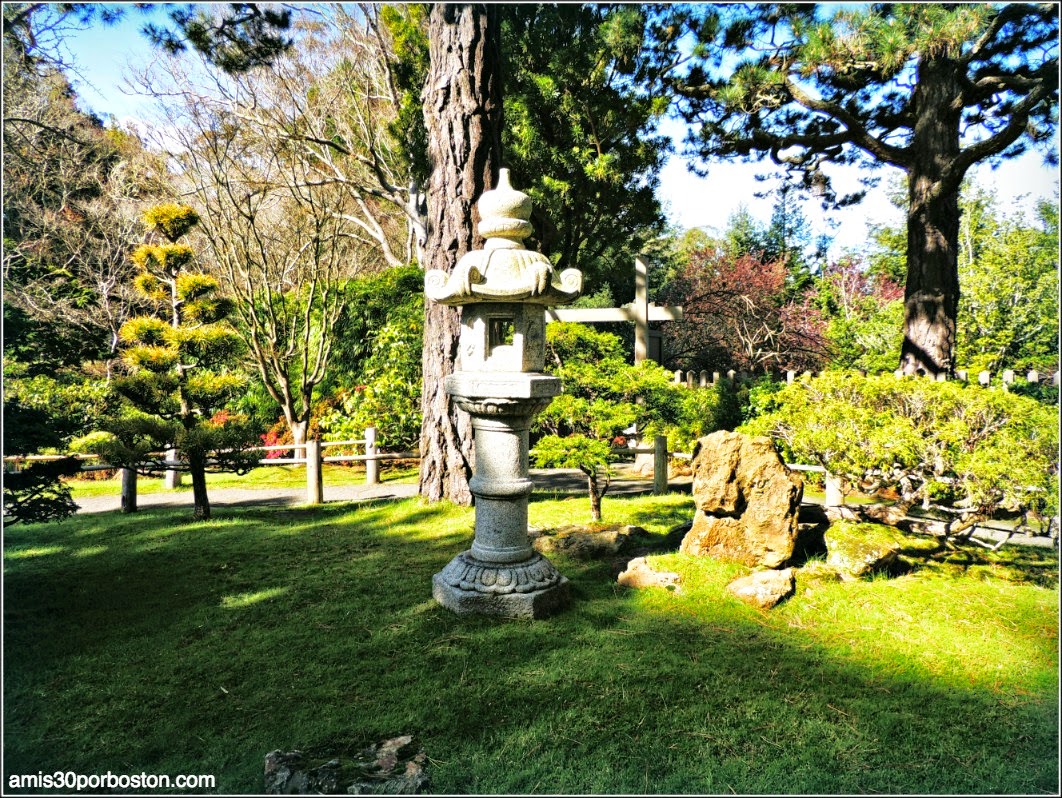 Japanese Tea Garden: San Francisco Japanese Tea Garden: San Francisco