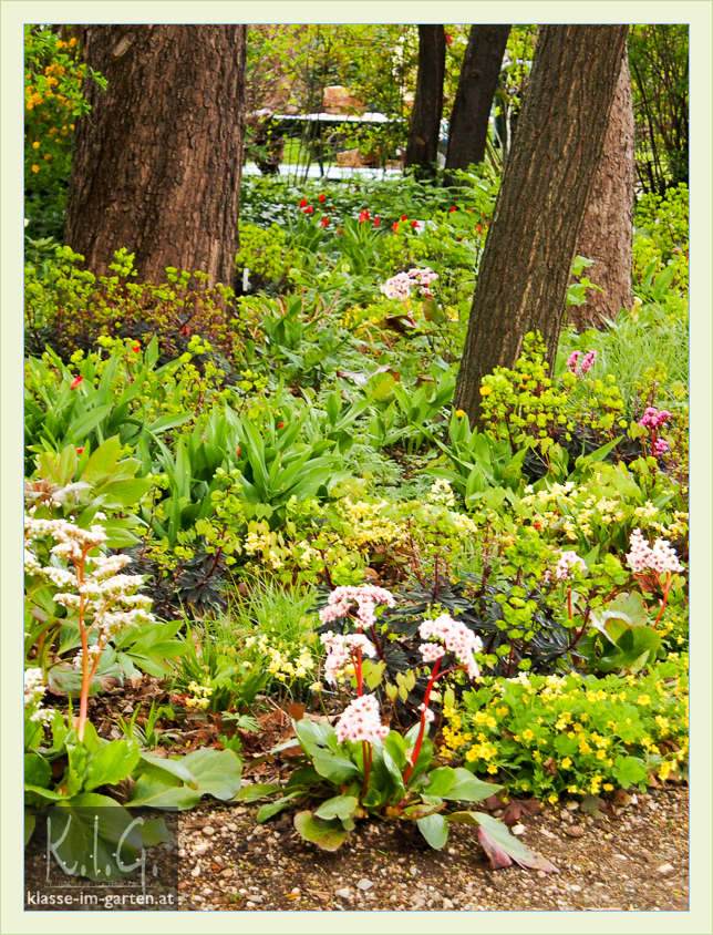 Klasse Im Garten Page 6 Chan 9849358 Rssing Com