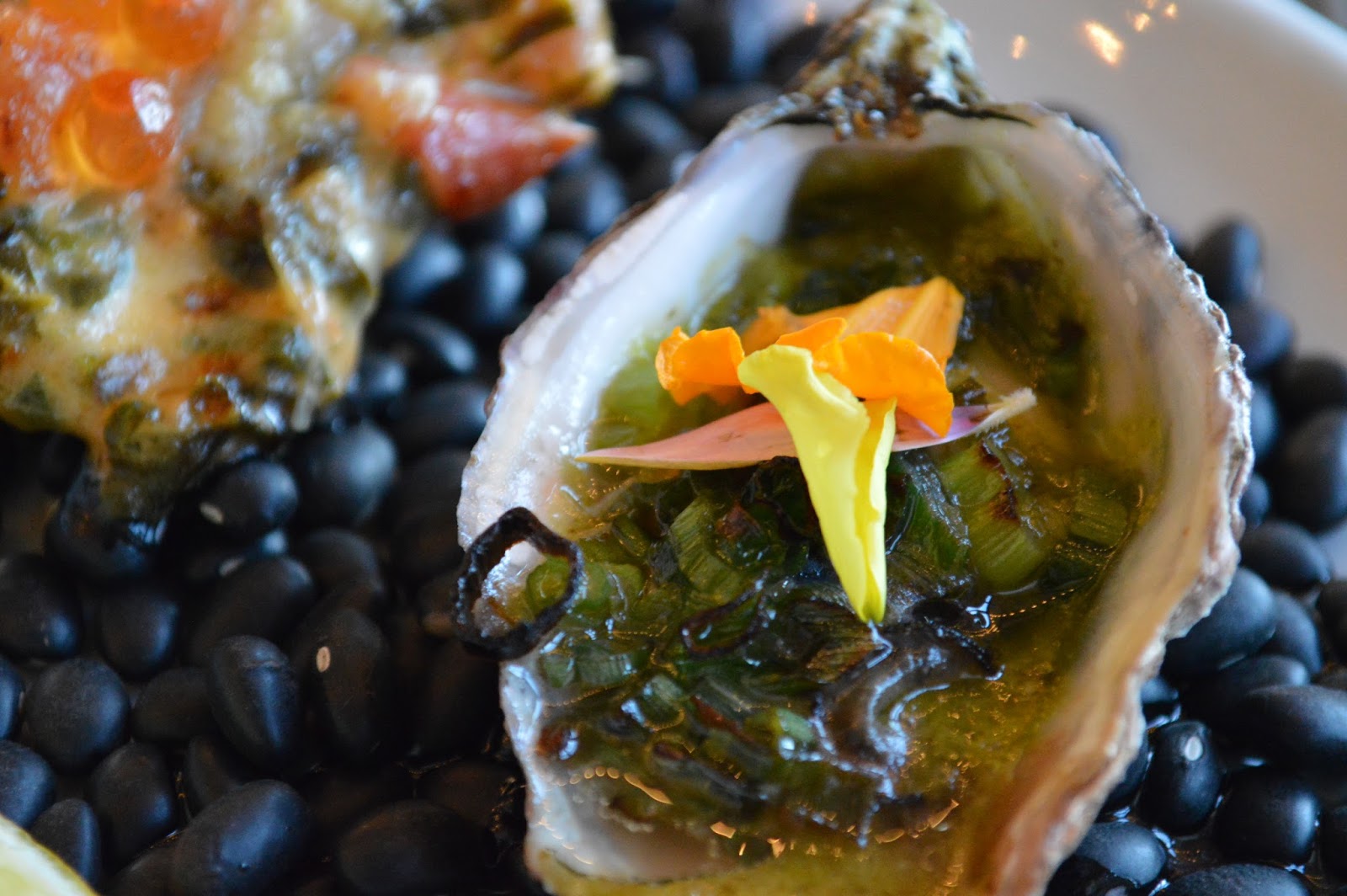 Your Ultimate Guide to 1 Oysters in Orange County