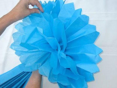 party pom poms party pom poms