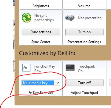 Dell Laptop වල "Fn" key සහ F1-F12 keys කරදරෙන් බේරෙමු.. (change "Fn