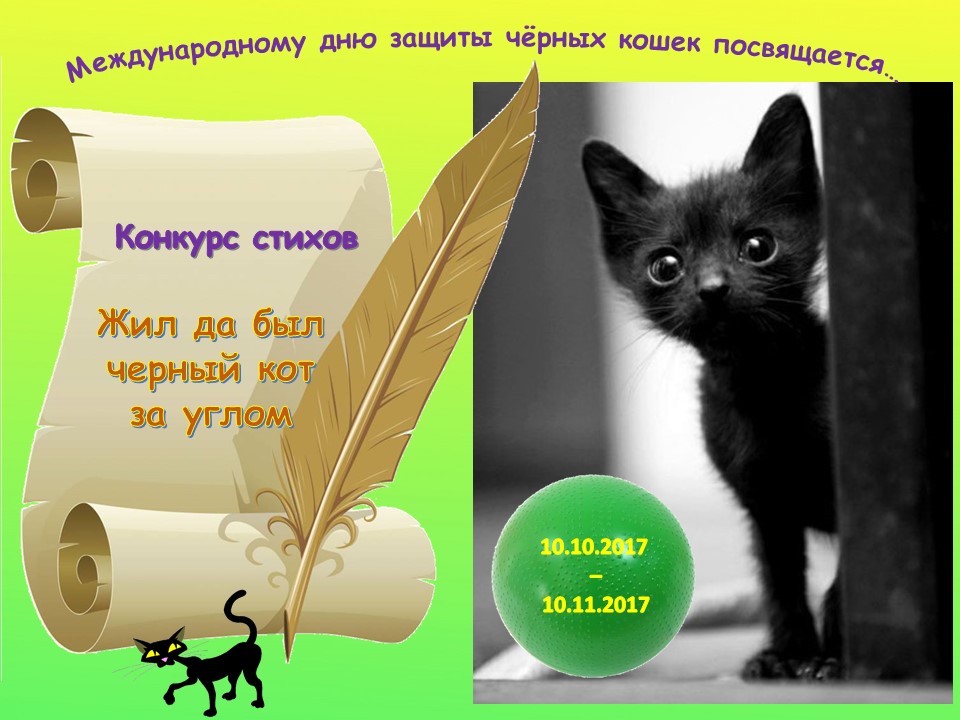 международный день черных кошек. мурка ты мой мурёночек мурка ты мой котеночек. жила был черный кот. худая черная кошка. черная уличная кошка.