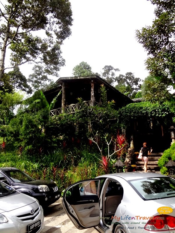 Fig Tree Hill Resort