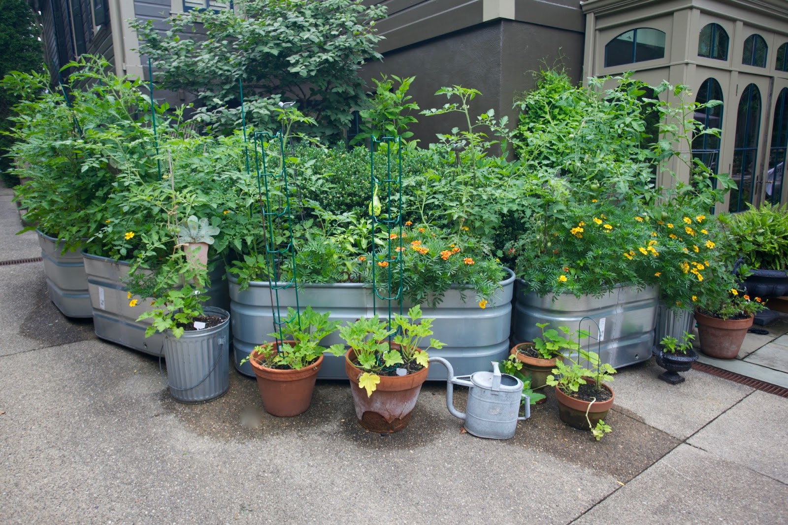 Potting Soil Bag Gardening