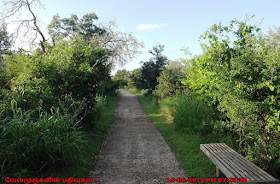 Stone Oak running trails