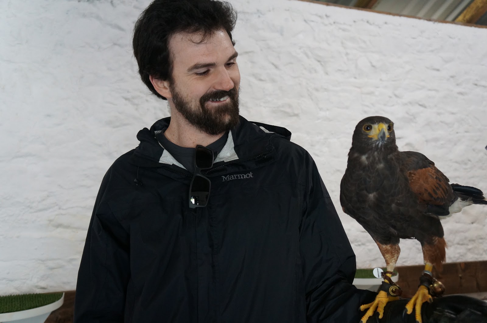 Short and Pale Travel Galway, Ashford Castle and FALCONRY!
