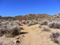 Heading south on Black Rock Canyon Trail en route to Warren Point, Joshua Tree National Park