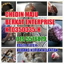 KEDAI BERDAFTAR DENGAN SSM