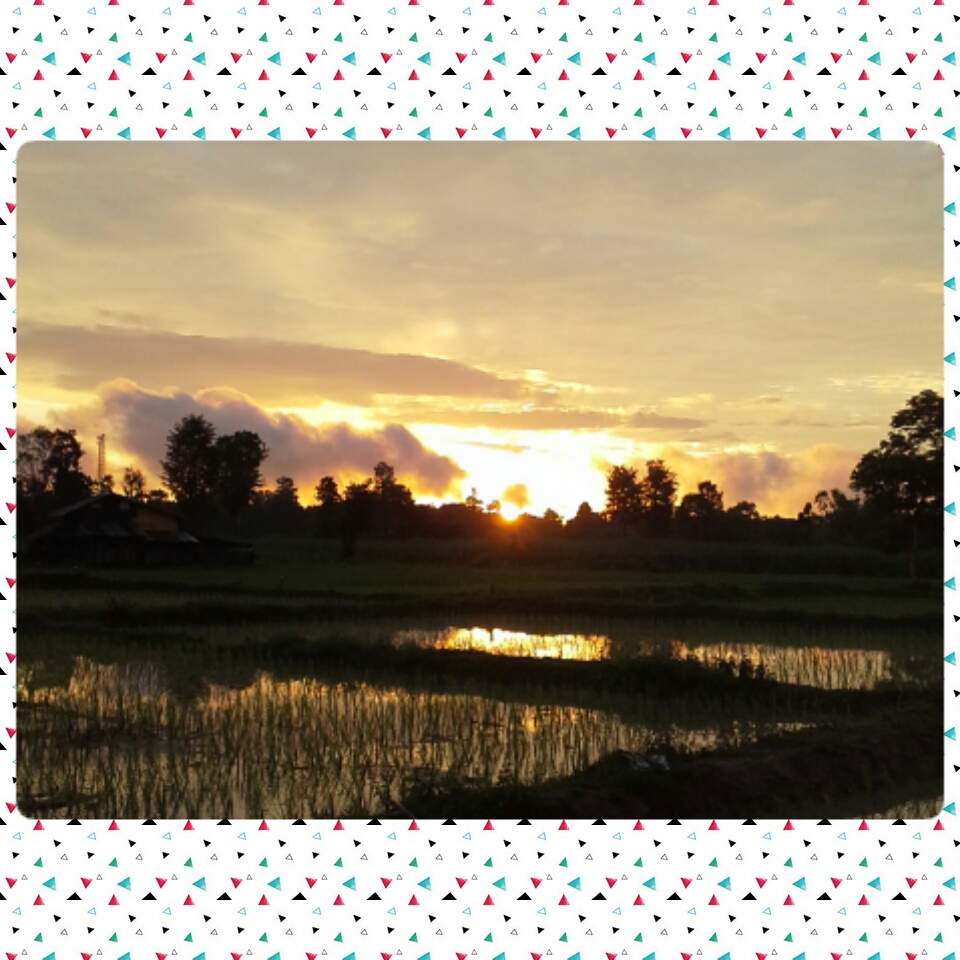 My Image 50