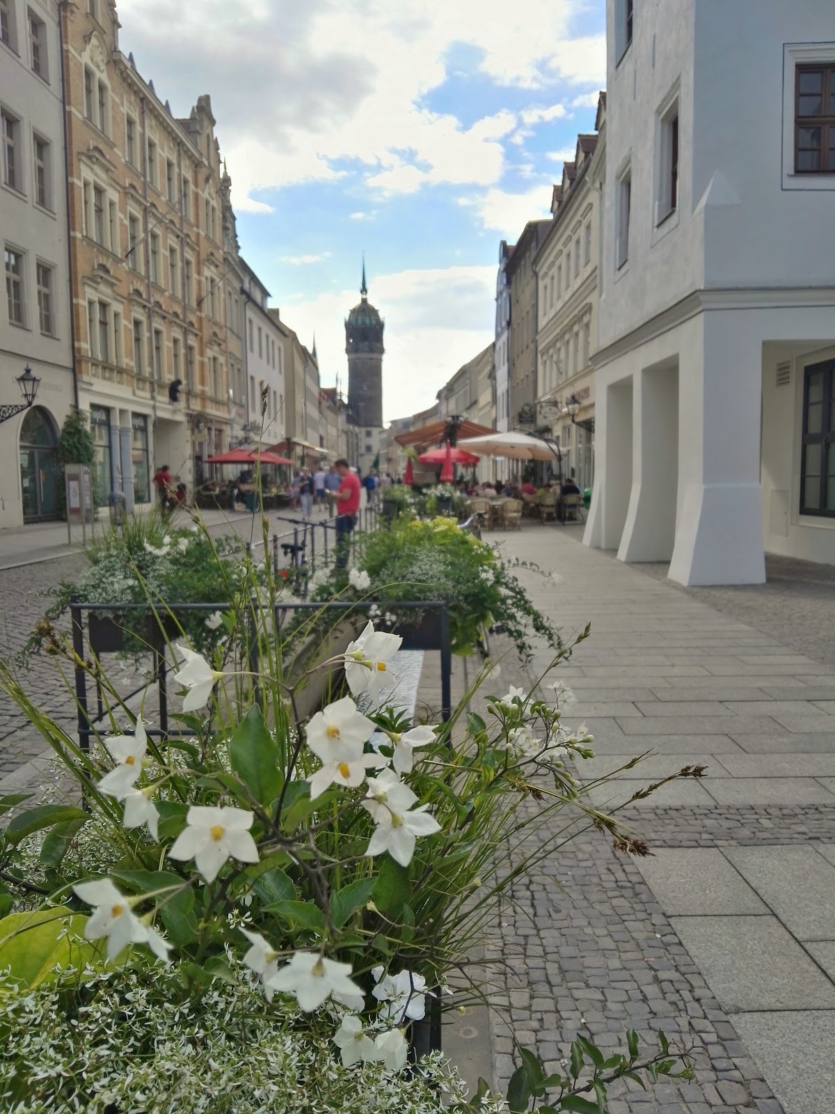 Demokratie In Sachsen An 50 Prozent Hurde Gescheitert