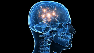 Marcapasos cerebral que puede prevenir enfermedades neurológicas-TuParadaDigital