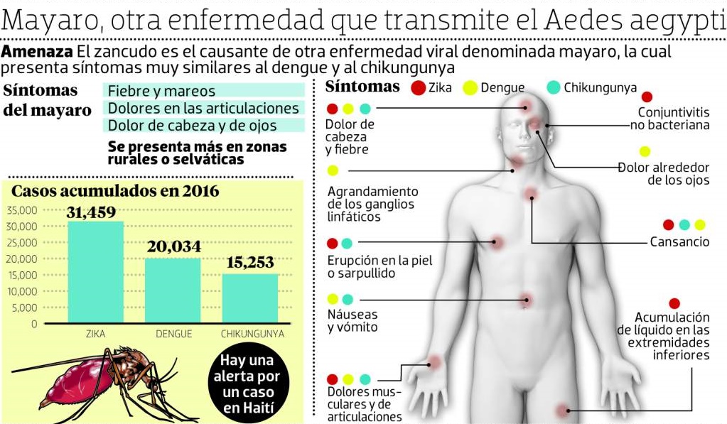 Resultado de imagen para Casos de virus Mayaro se presentan en varias zonas de Venezuela
