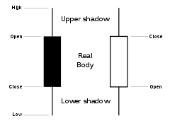 Forex Trading Courses,Stock Trading Courses,Options Trading Courses,Day Trading,How the Stock Market Works,Stock Market Basics,Value Investing,Swing Trading