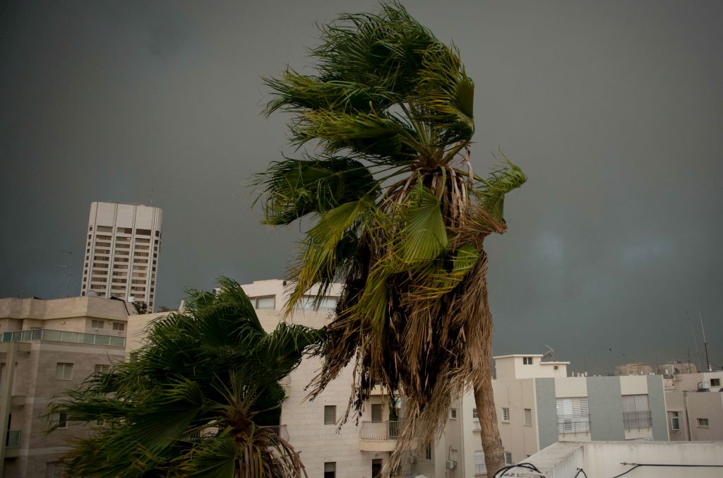 Дождь в израиле Дождь в израиле