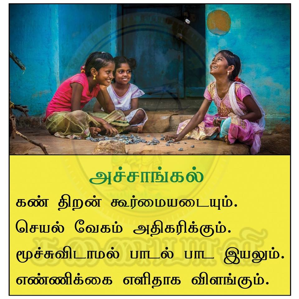 49690863_405226016889345_236372654974985