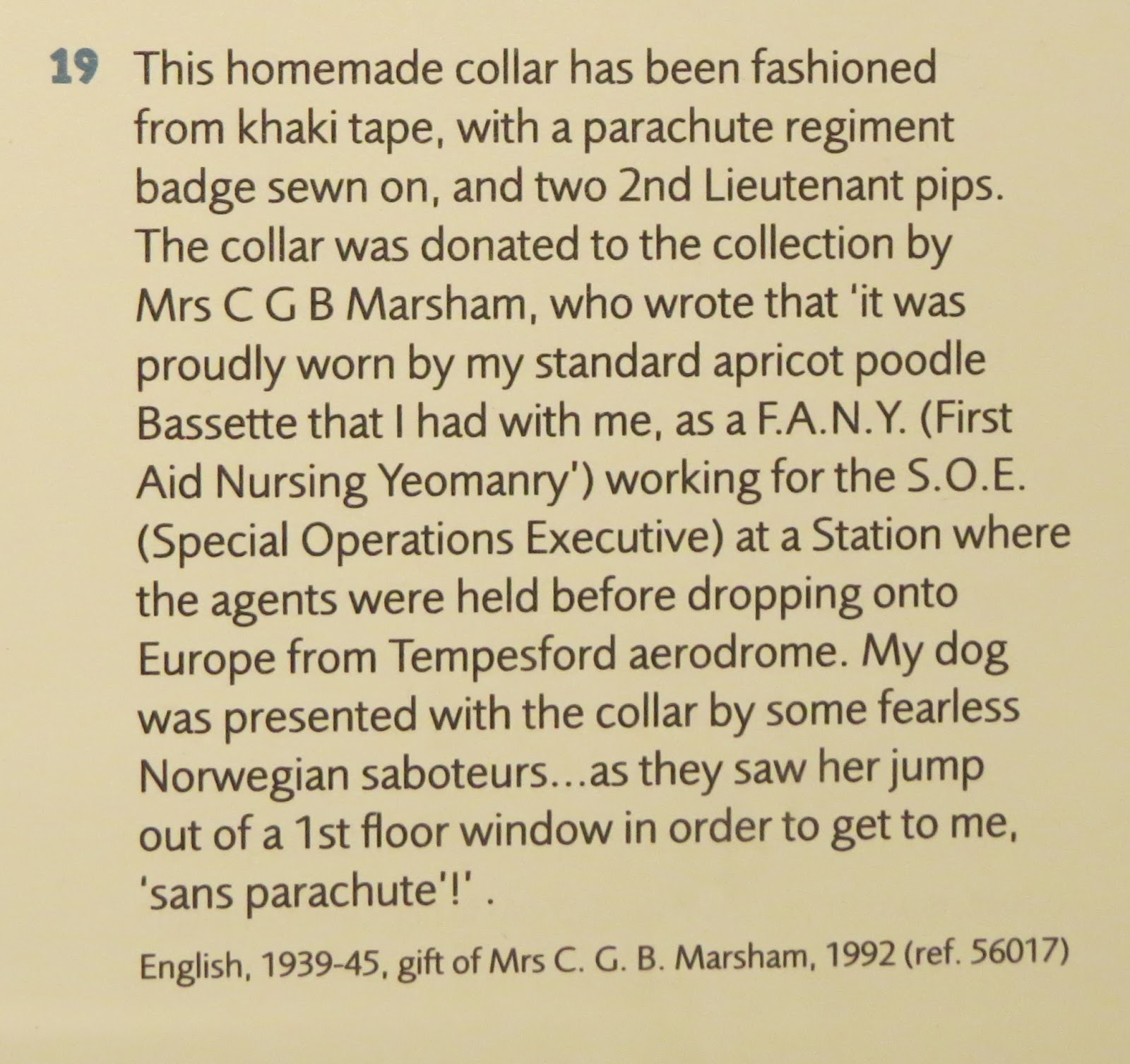 Olive And Pru A History of Dog Collars