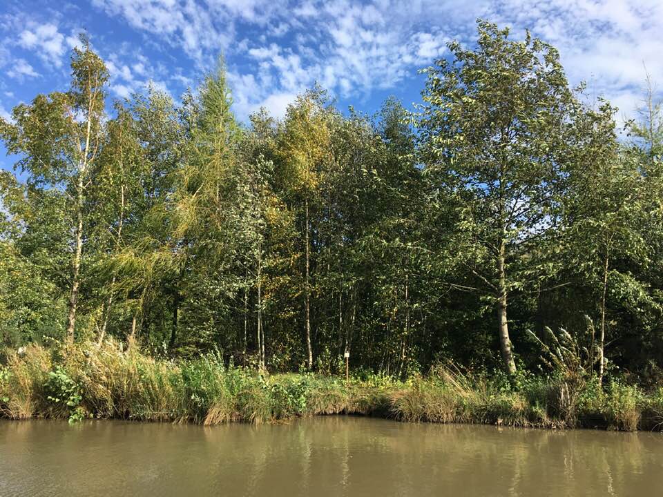 Oaks fishing lakes thirsk image