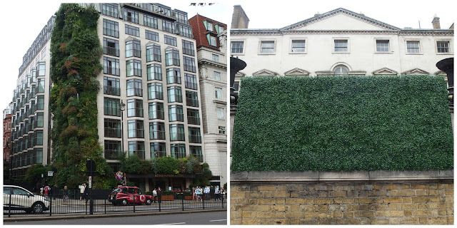 A lush green wall and an artificial one as seen on Piccadilly in August 2015