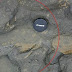 Το πρώτο προϊστορικό αποτύπωμα ποδιού στην Ευρώπη ηλικίας 800.000 ετών