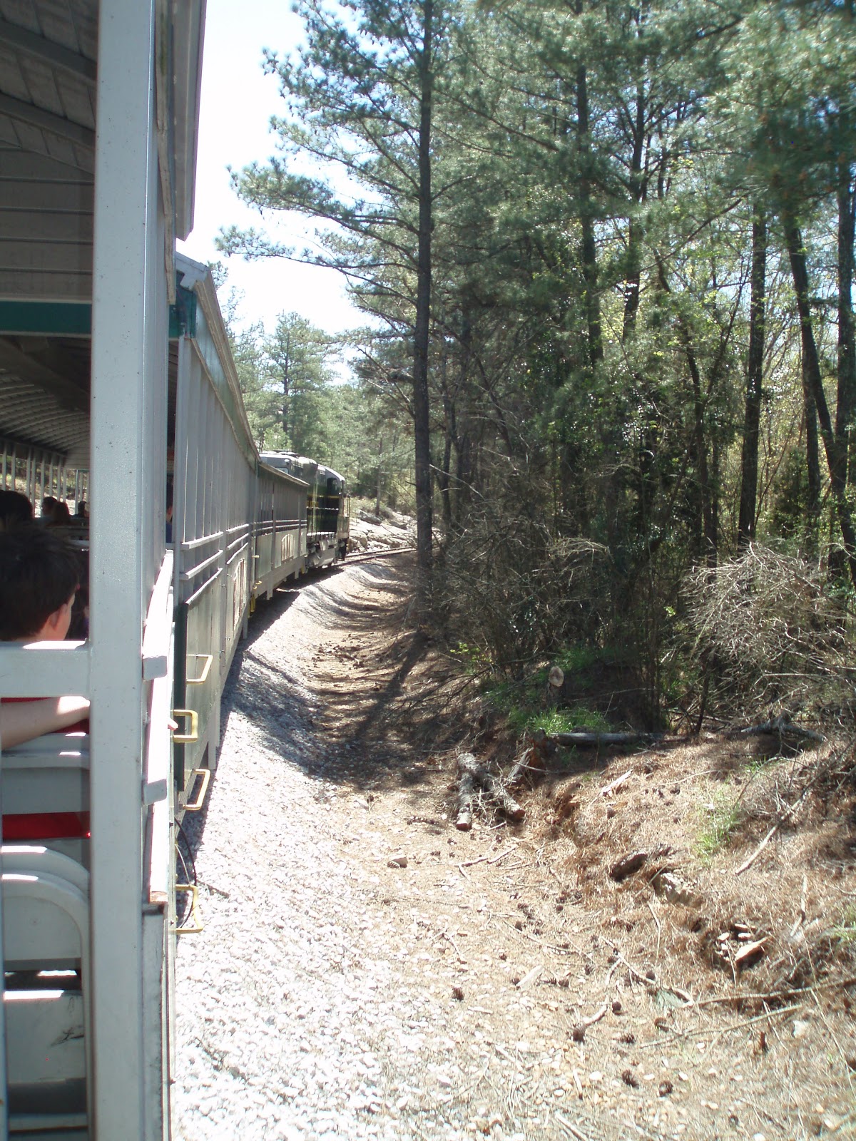 Bessy's Adventures Stone Mountain Park and Doggie Daycare!