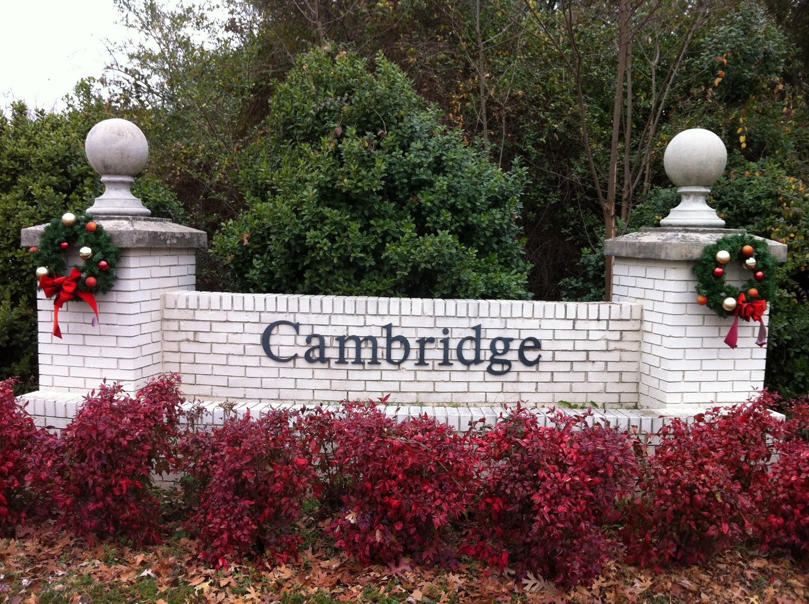 Meadowlake at Dunwoody HOA