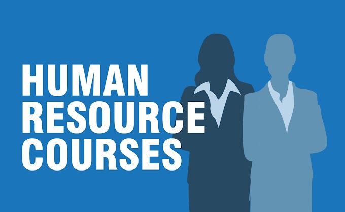 Successful Tips for Hr Courses That You Can Begin to Use Immediately