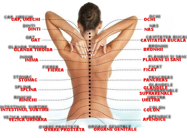 apariția durerilor de spate durerile de spate ameliorează inflamația