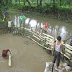 Gubernur Ganjar Pranowo Kagumi Gotong-Royong di Lokasi Banjir Klaten