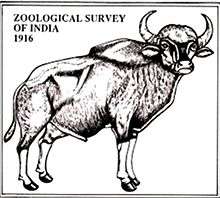 ZSI Recruitment 2017 ZSI Recruitment 2017, www.zsi.gov.in