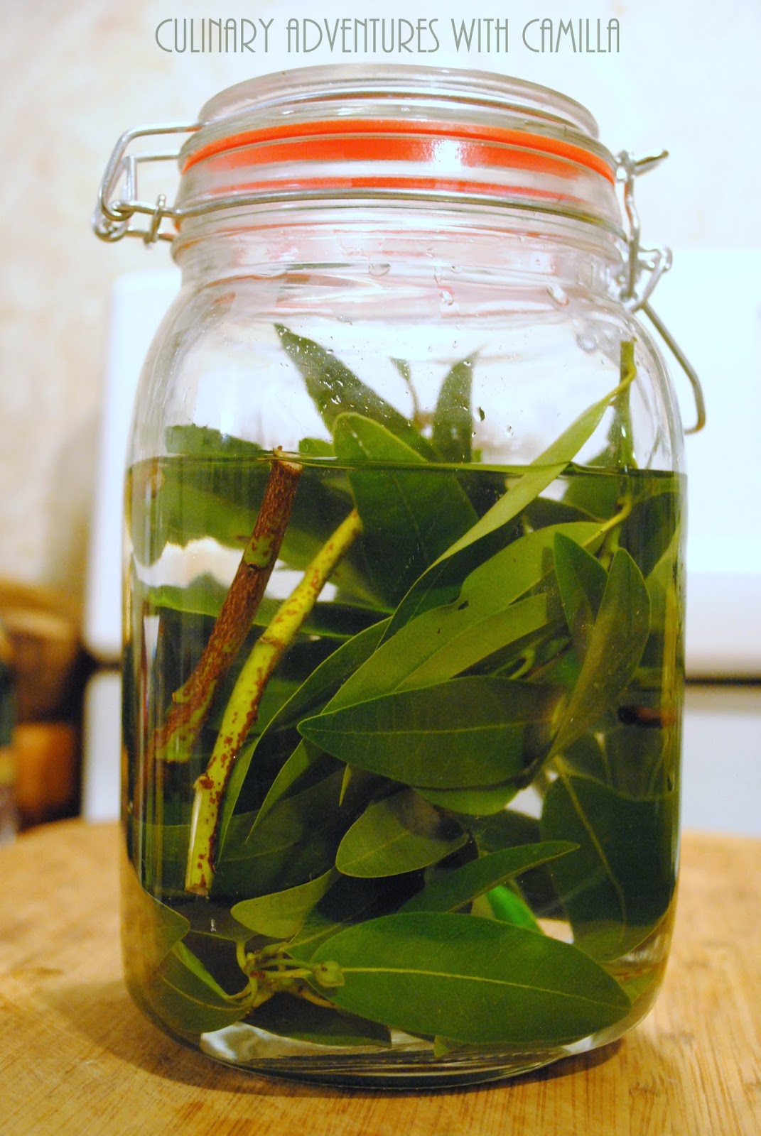 Liquore all'Alloro (Bay Leaf Liqueur) for SundaySupper