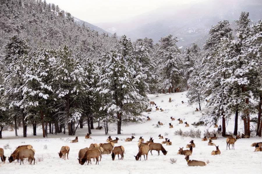 What's Happening in Grand Lake, Colorado Snowshoeing, Ice Fishing