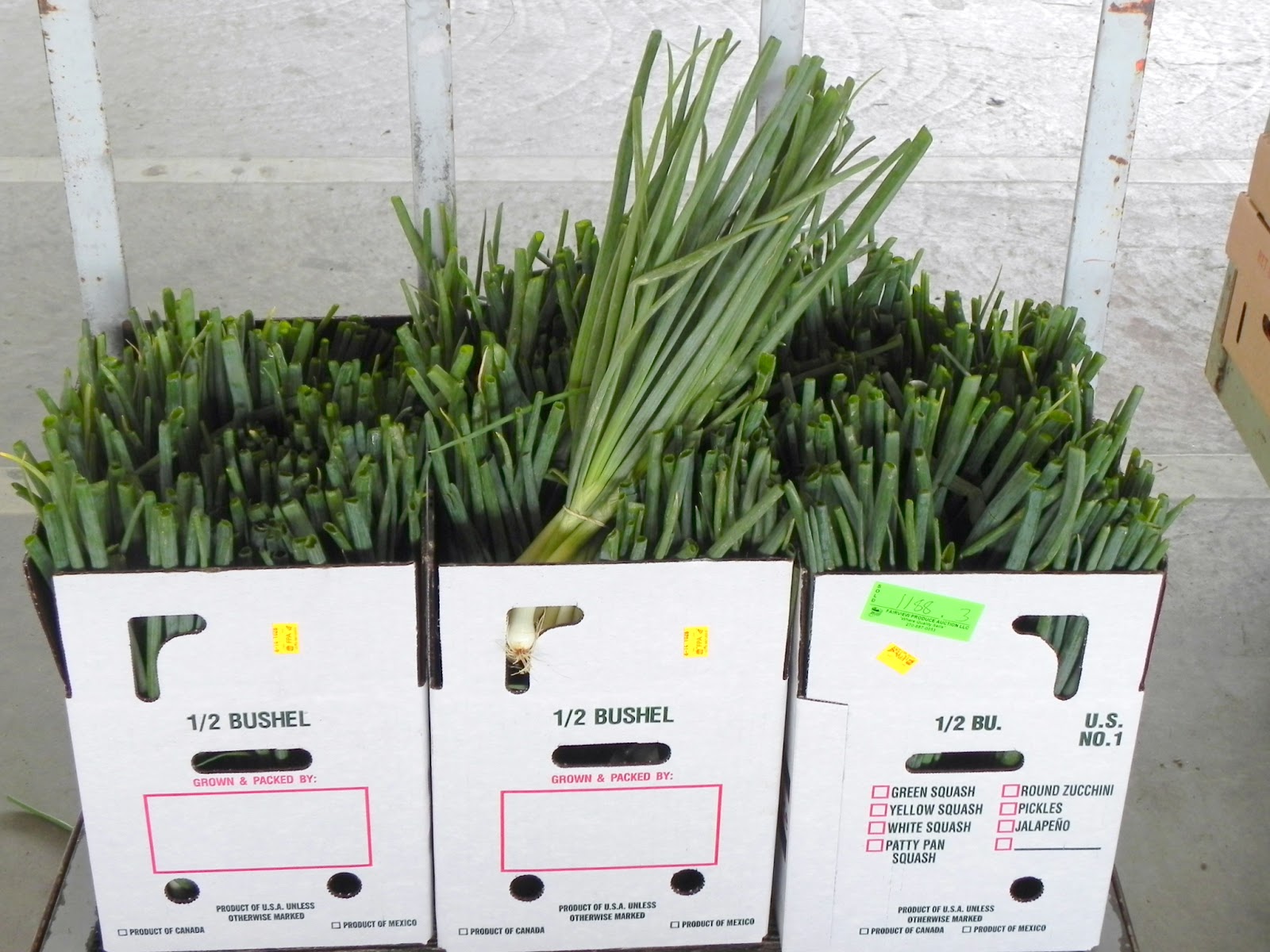 Gone Walkabout 2 Veggie Overload at the Amish Produce Auction
