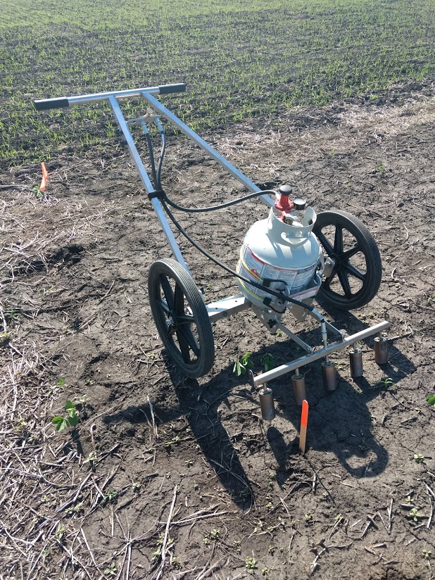 Using a Flame Weeder in Vegetable and Fruit Crops