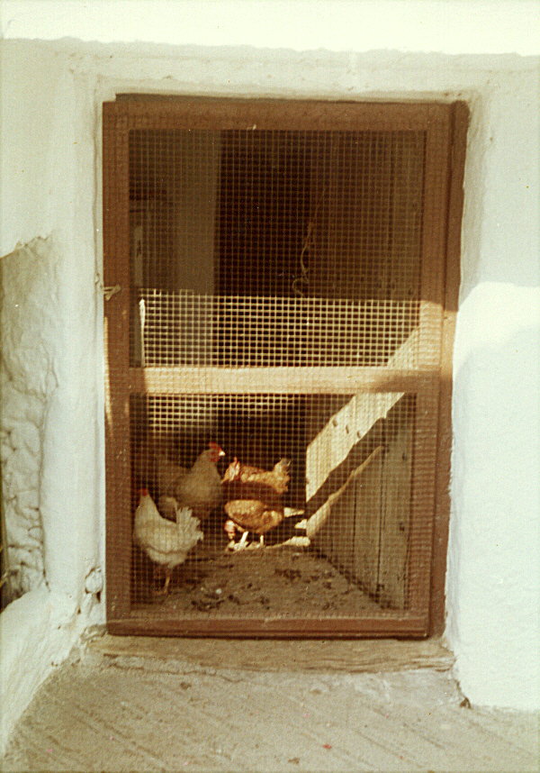 Gallinero