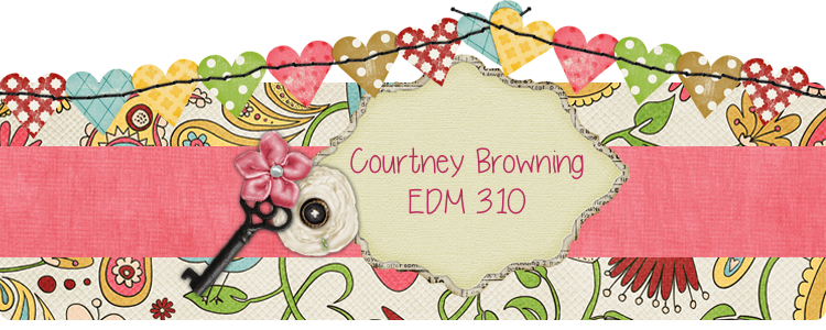 Courtney Browning EDM 310