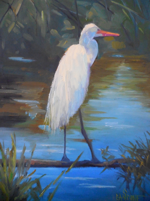 Contemporary Artists of Florida Wildlife Painting, Daily Painting