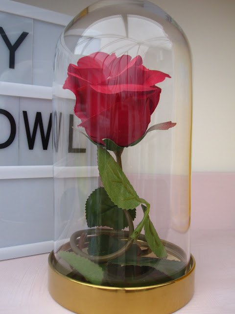 Rose standing in the glass dome
