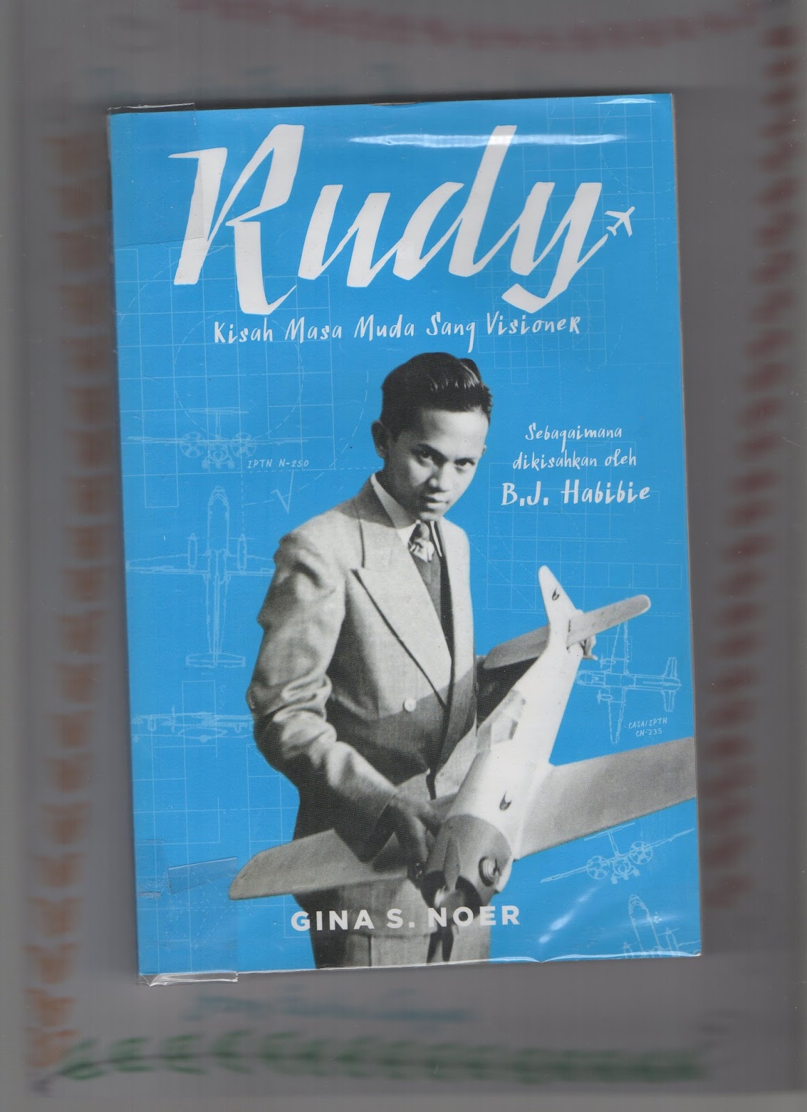 Book Review Rudy (Kisah Masa Muda Sang Visioner